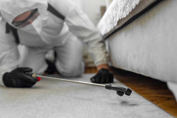 Professional Emergency Pest Control technician working in Alderwood Manor, WA