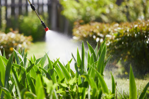 24/7 Emergency Emergency Pest Control experts in Alderwood Manor, WA