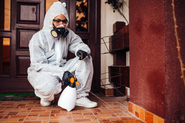 Reliable Emergency Pest Control contractor in Alderwood Manor, WA by Nex Pest Control