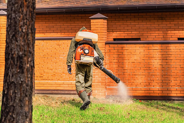 Trusted Ant Control service in Alderwood Manor, WA - Nex Pest Control